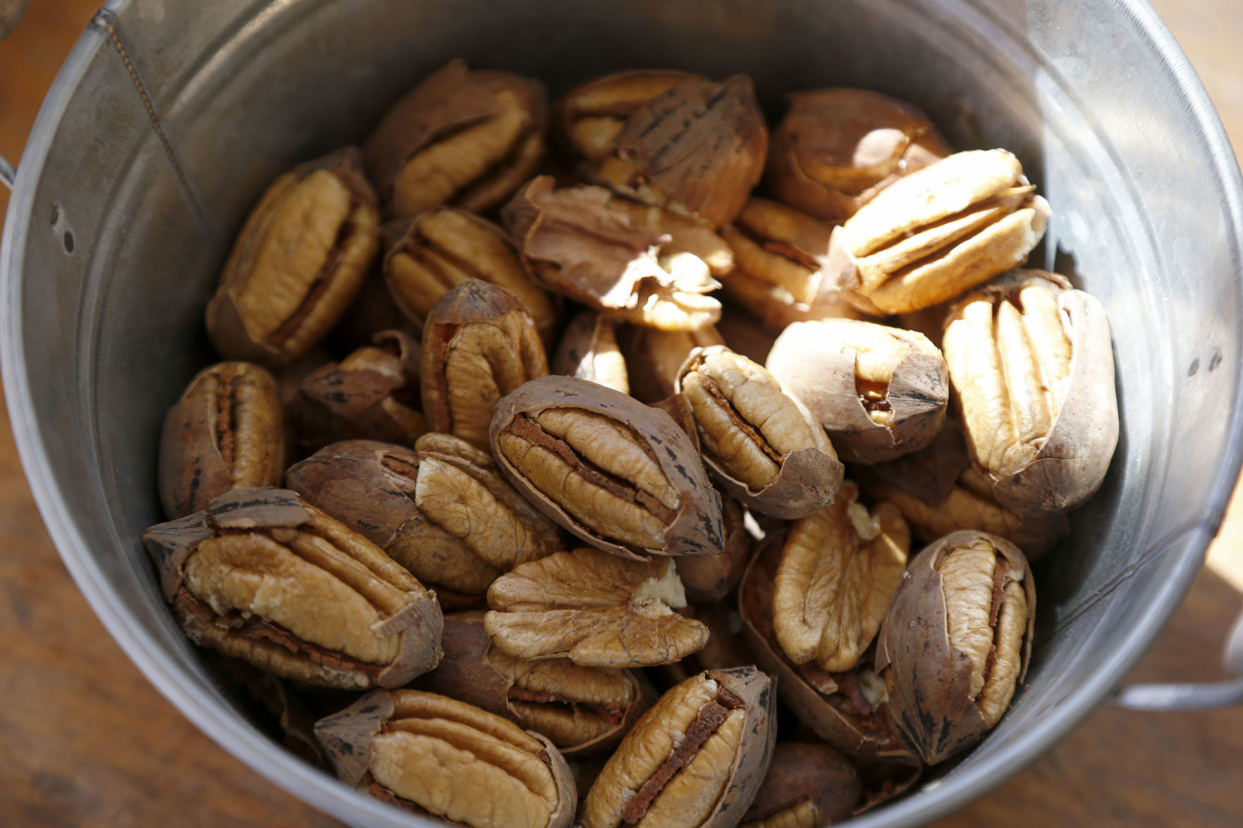 Pecans
